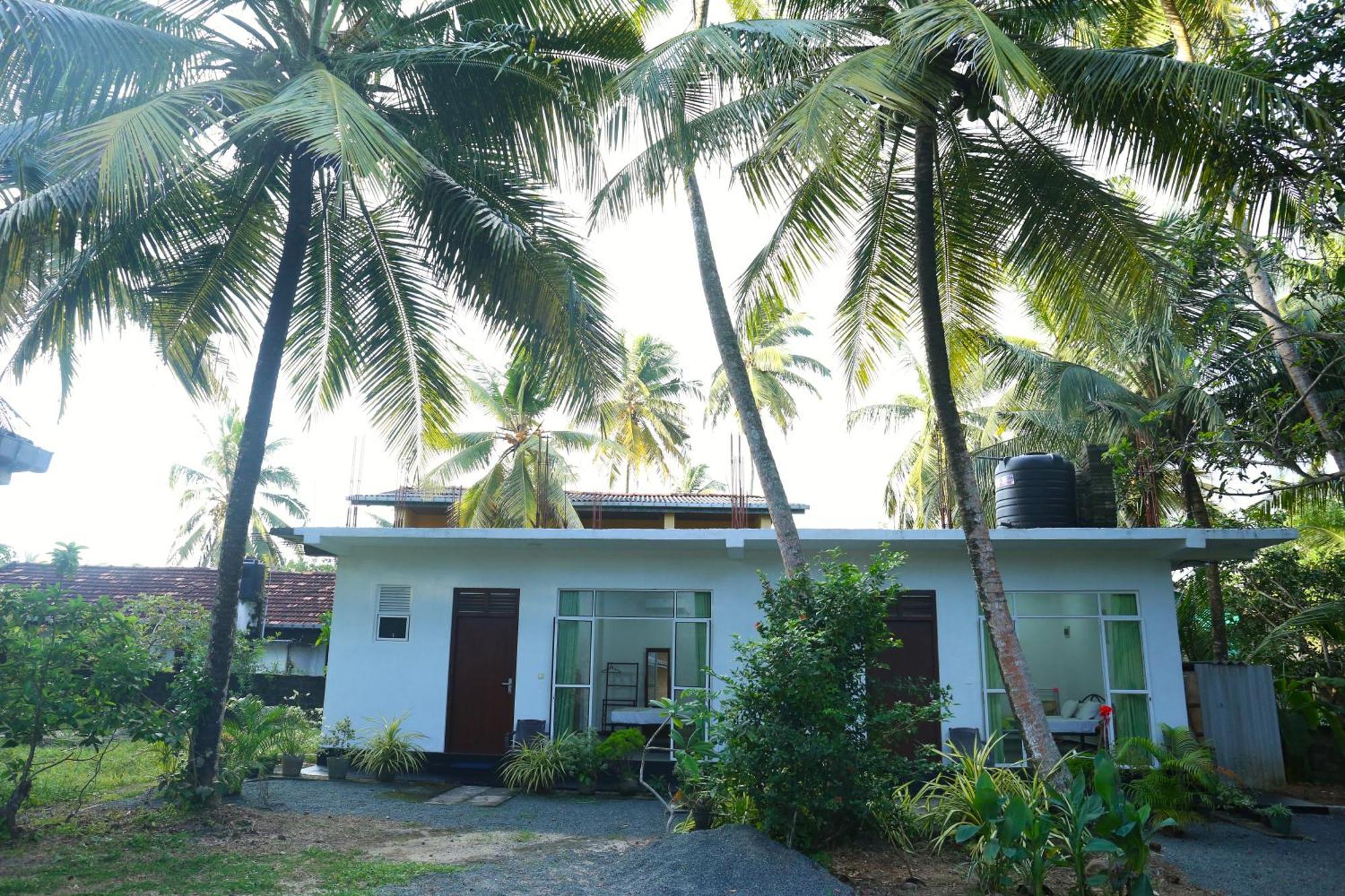Sandy Palms Guesthouse Хіккадува Екстер'єр фото