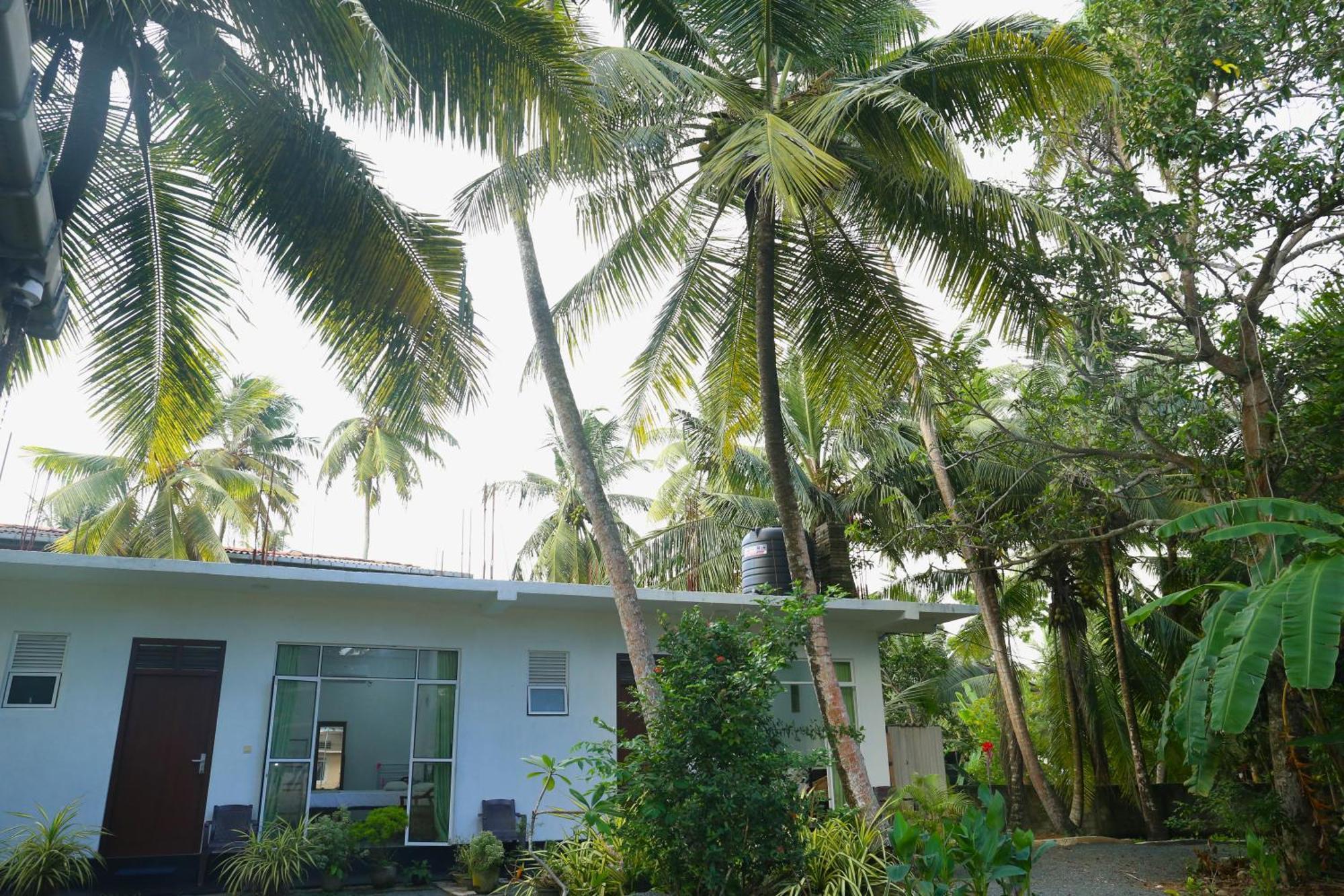 Sandy Palms Guesthouse Хіккадува Екстер'єр фото