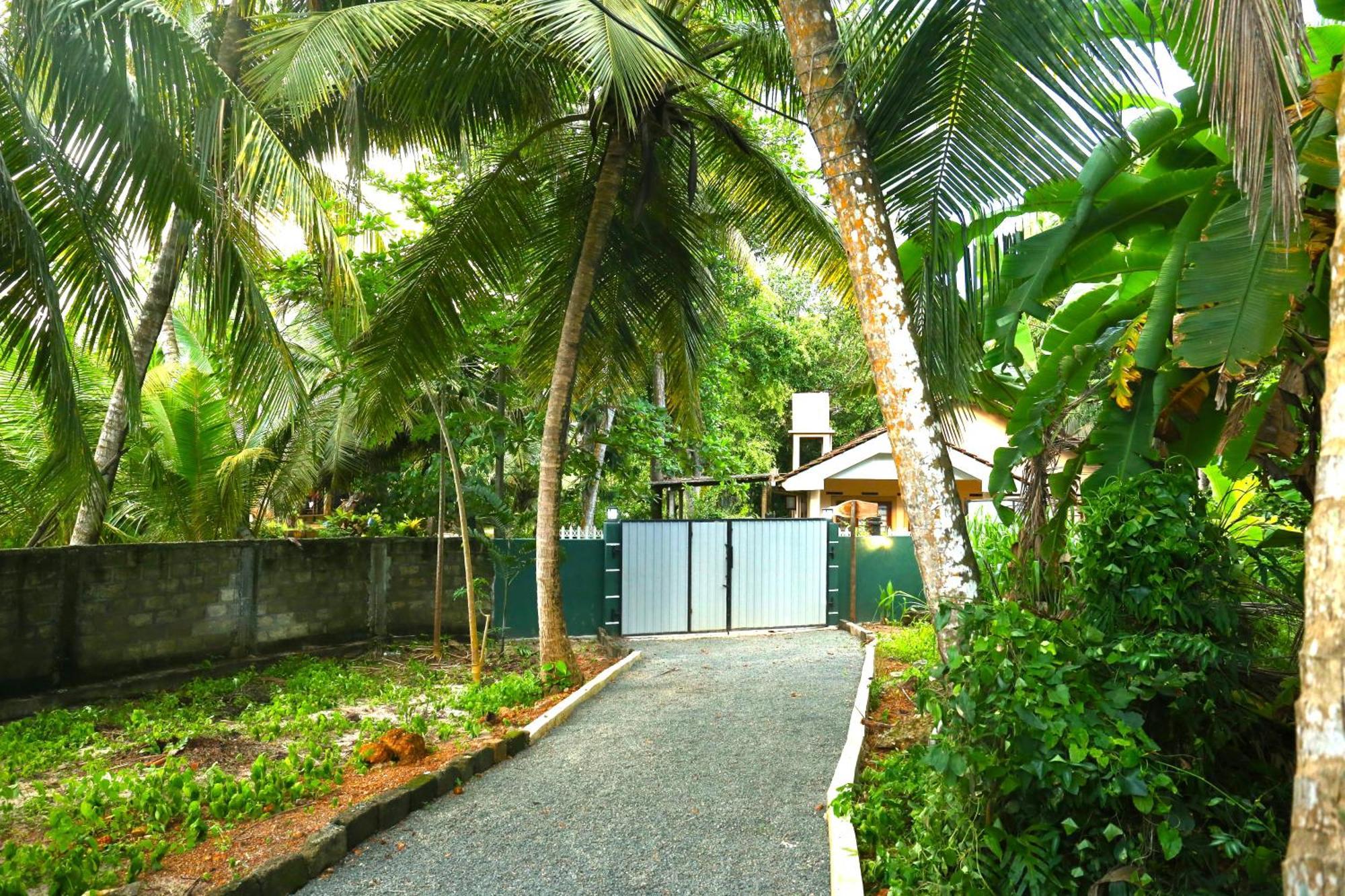 Sandy Palms Guesthouse Хіккадува Екстер'єр фото