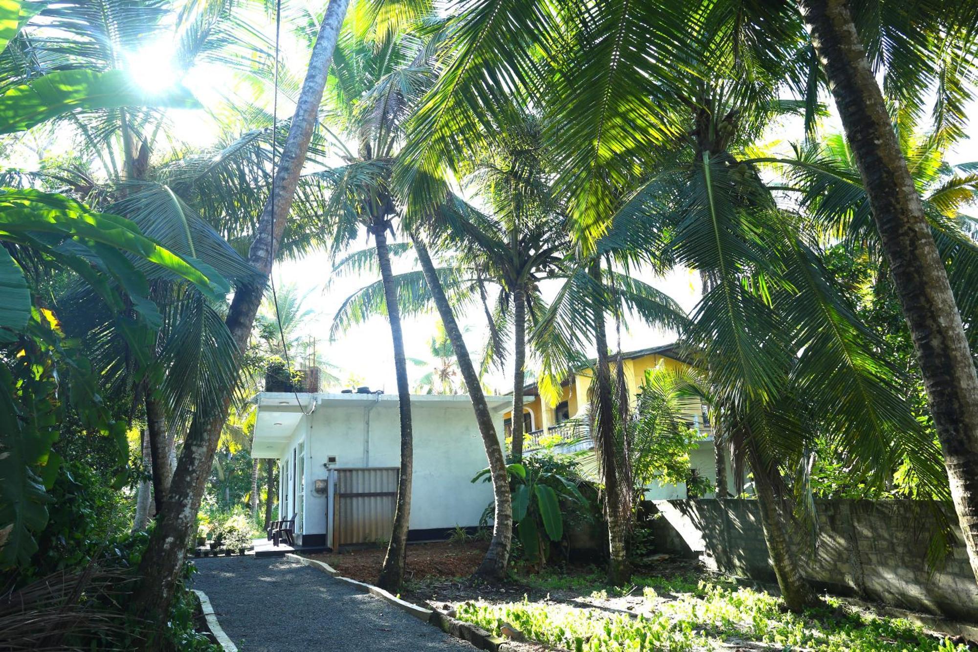 Sandy Palms Guesthouse Хіккадува Екстер'єр фото